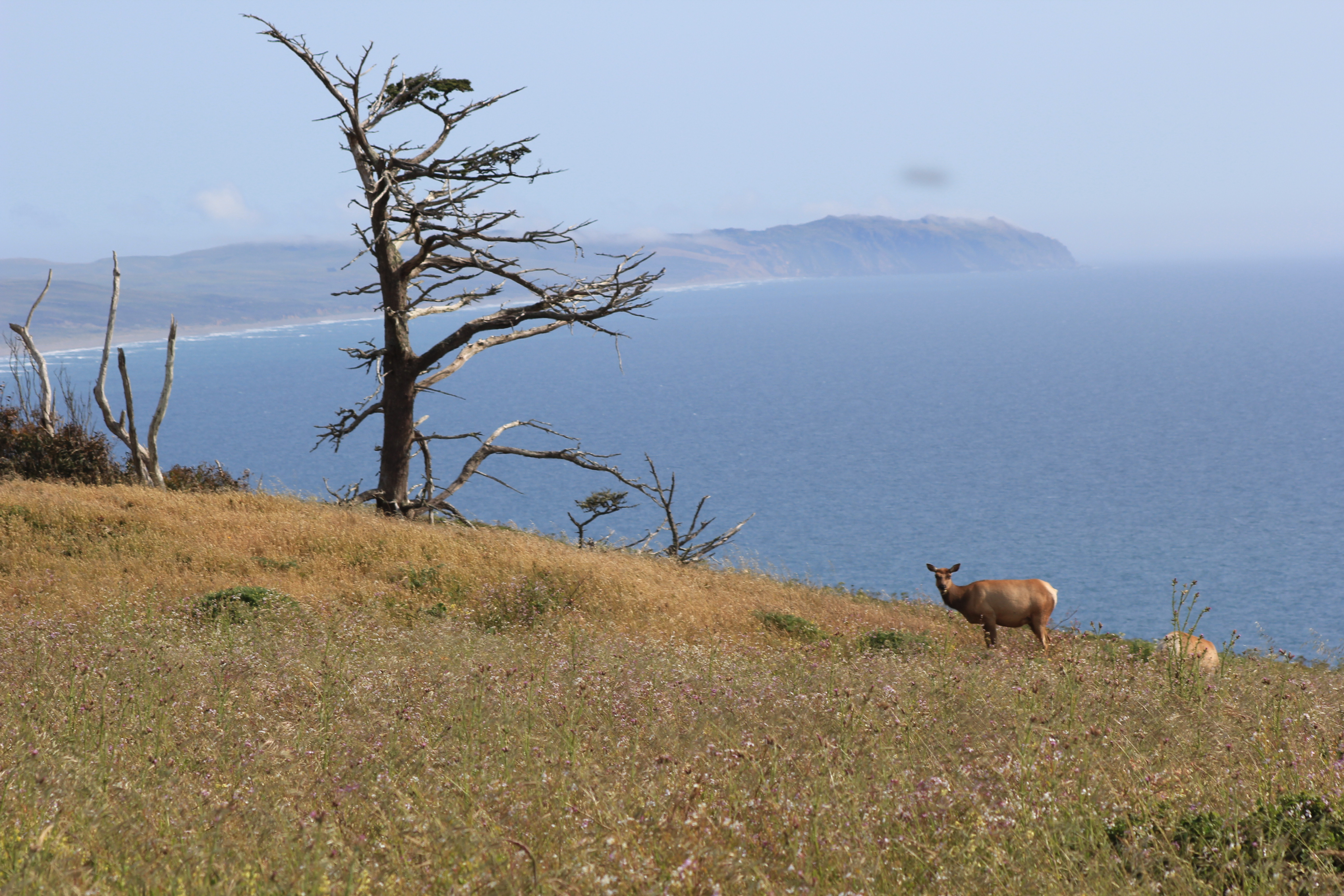 Future project landscape 2