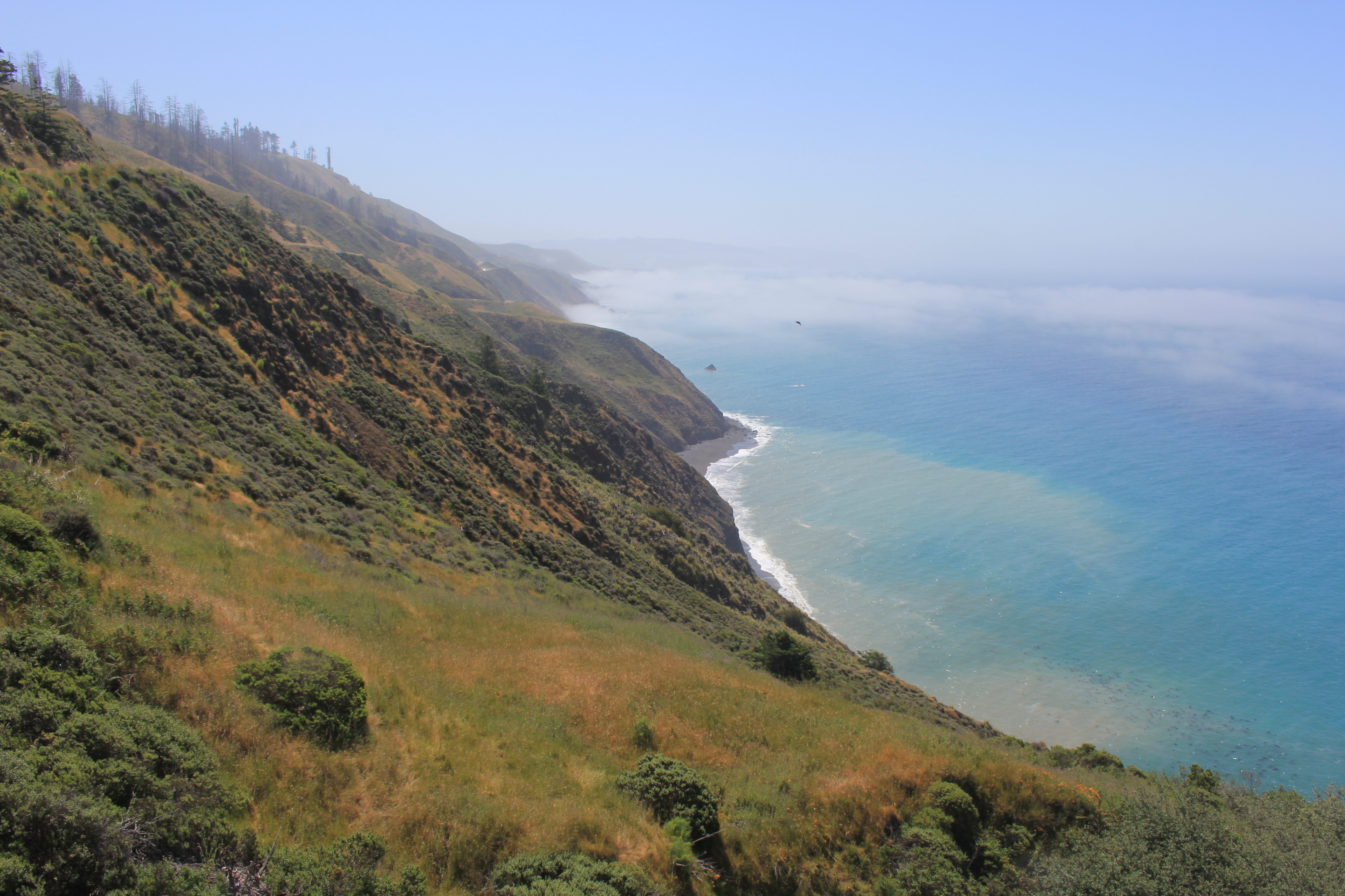 Foggy coastline cliffs